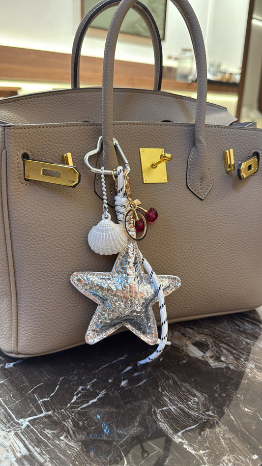 Charm de sac argenté