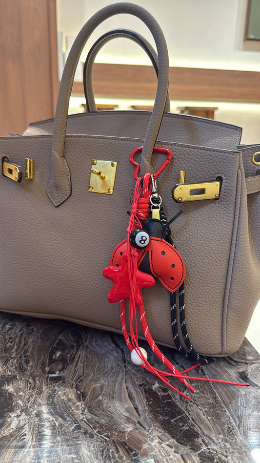 Charm de sac coccinelle